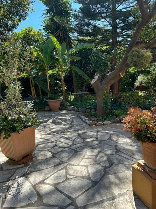 Appartamento T3 Dans Pres De La Nizza
