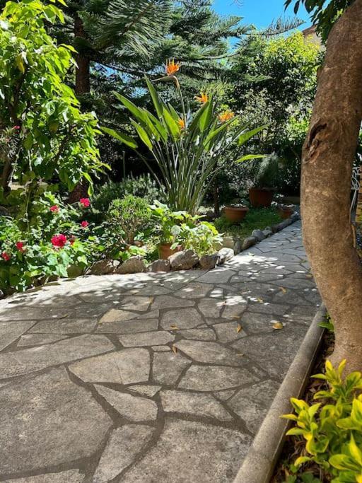 Apartment T3 Dans Pres De La Nizza